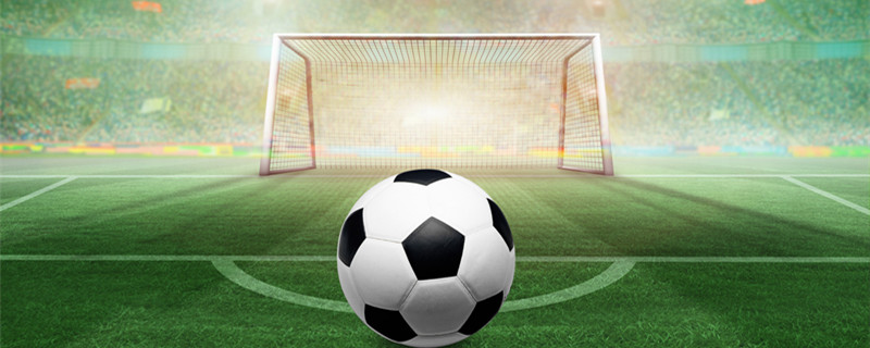 冠军的对手 冠军的对手